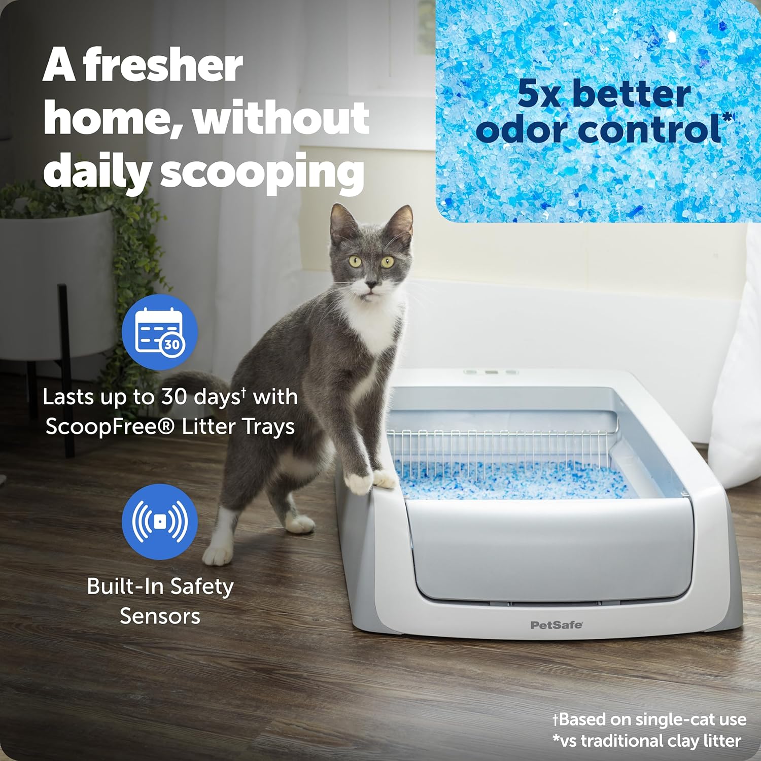 The Real Cost of Crystal Litter Systems: ScoopFree Tray Math After 12 Months